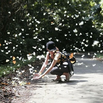 谷芳國家公園觀賞蝴蝶與螢火蟲行程安排