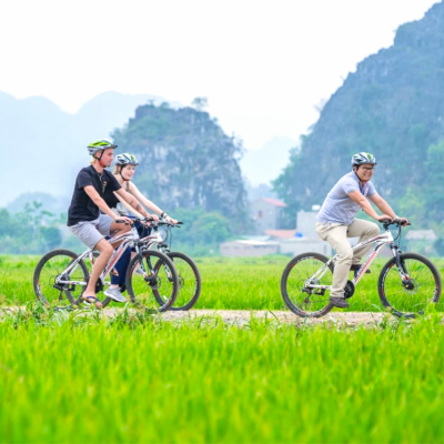 越南首座國家級旅遊數據平台「Visit Vietnam」啟用運行