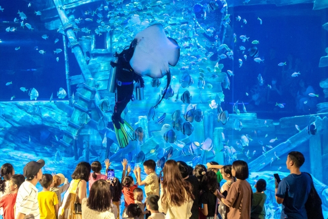 河內樂天世界水族館 Lotte World Aquarium